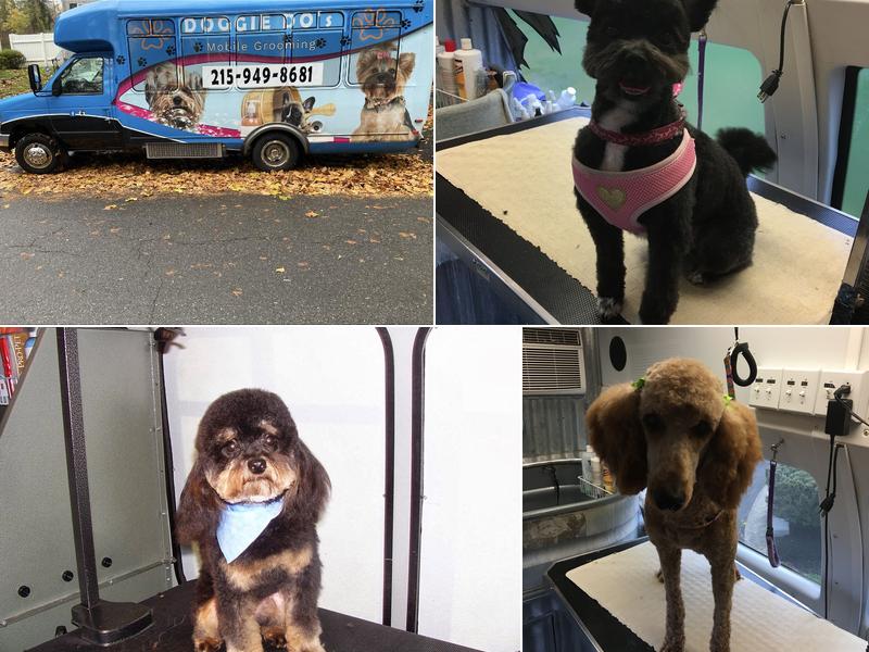 Doggie Do's Mobile Salon