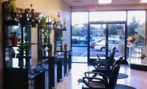 Shila Eyebrows Threading