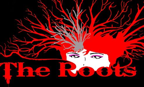 The Roots Salon 662 Sheldon Rd, Channelview Texas 77530