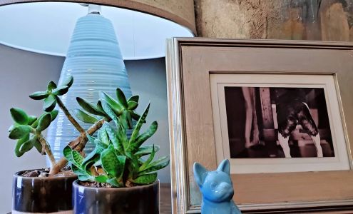 Gabriel Horn Medical Aesthetician