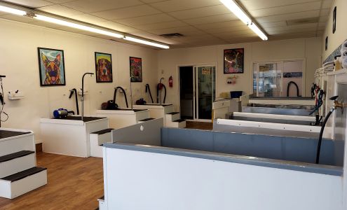 Dog Gone Clean- Dog Grooming and Self Serve Dog Wash - Beaverton/Portland