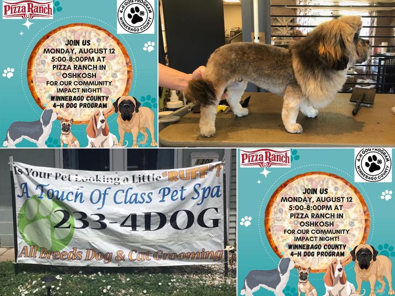 A Touch Of Class Pet Spa