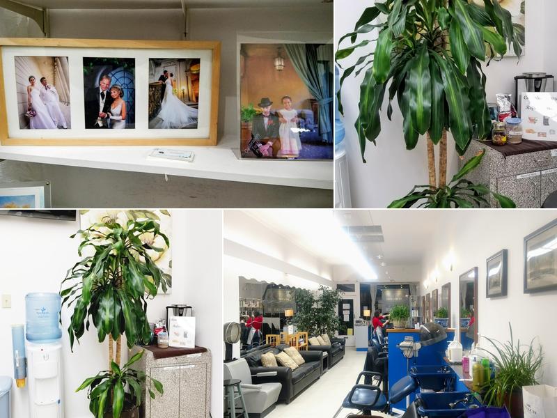 City Cuts Beauty Salon