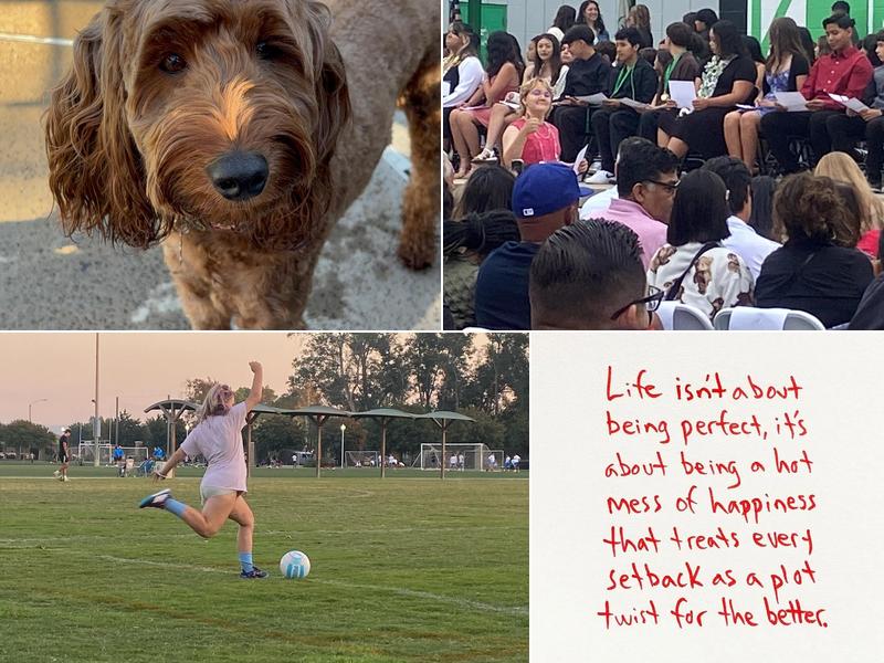 Steel Magnolia Salon