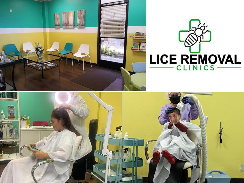 Lice Removal Clinics - Fremont