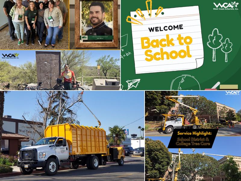 West Coast Arborists, Inc