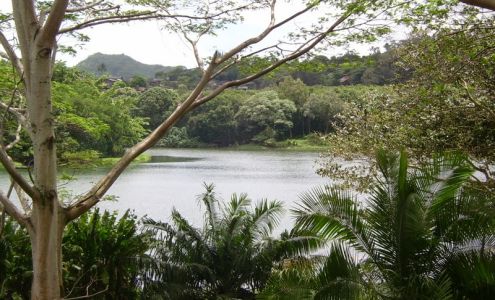 Reflexology and Massage