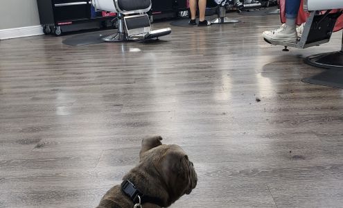 Forever Faded Barbershop