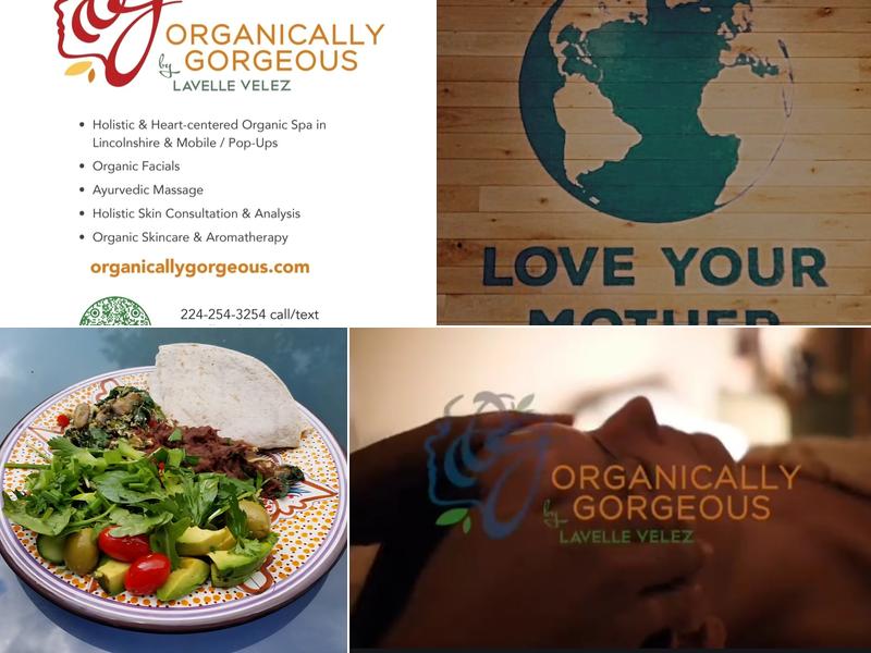 Organically Gorgeous by Lavelle Velez