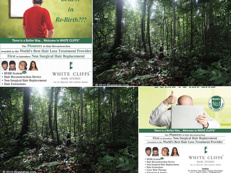 White Cliffs Hair Studio