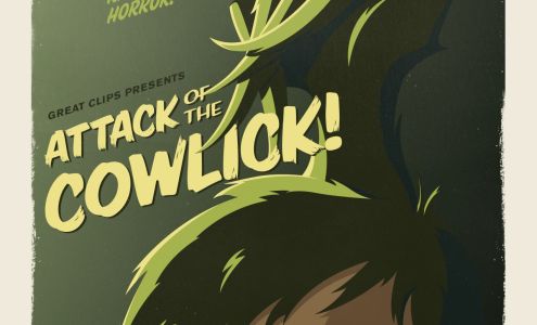 SmartClips 3636 S Campbell Ave, Springfield Missouri 65807