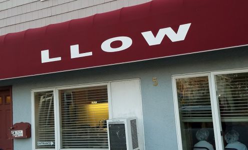 THE LICE LADY OF WESTCHESTER