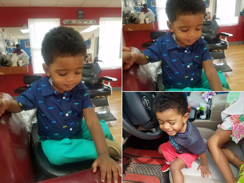 MLK Major League Cuts