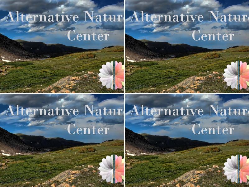 Alternative Naturopathic Center