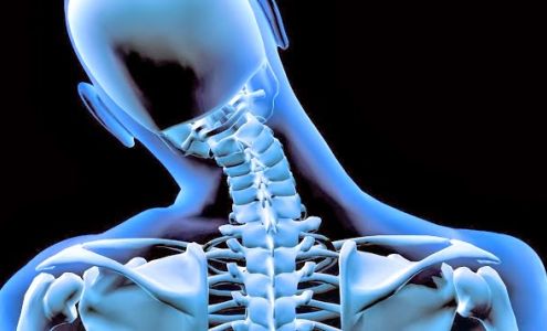 Bluestone Chiropractic