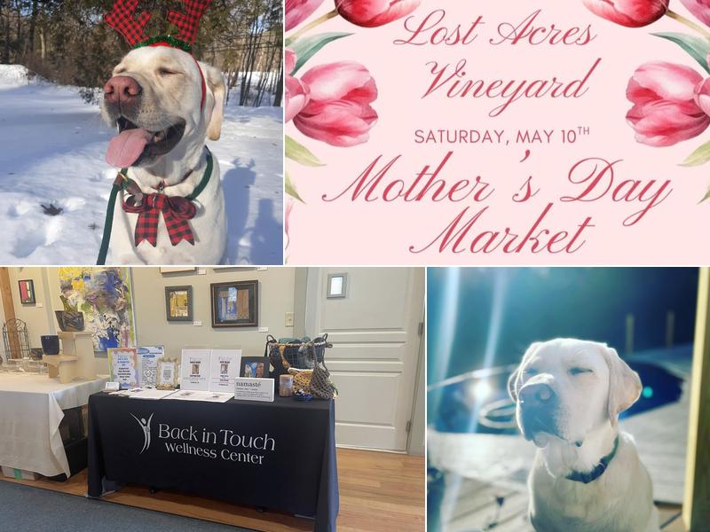 Back In Touch Therapeutic