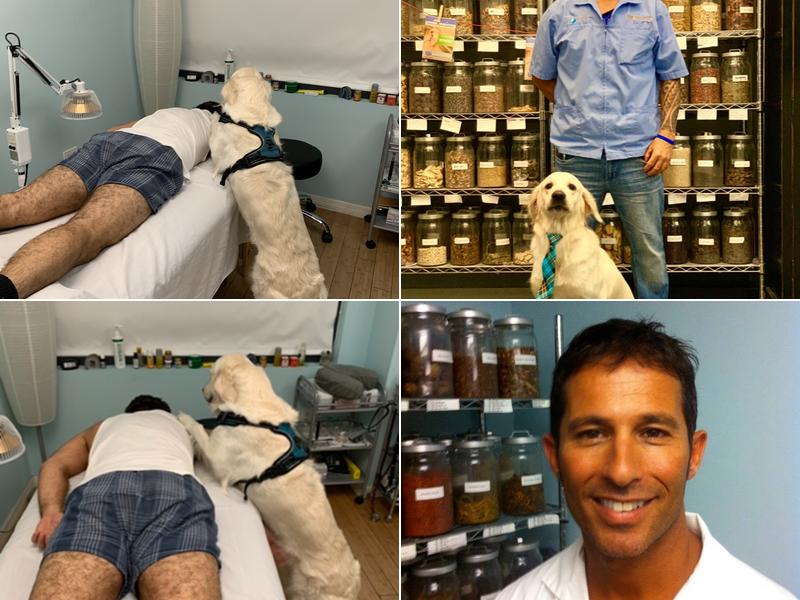 Dr. Donald M. Eisenman, DAOM AP