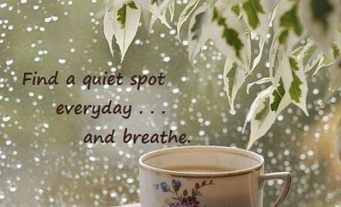 Master Chen's Wellness Center