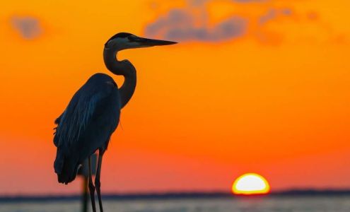 Lisa L. Konietzky, LMT 533 N Nova Rd #206, Ormond Beach Florida 32174