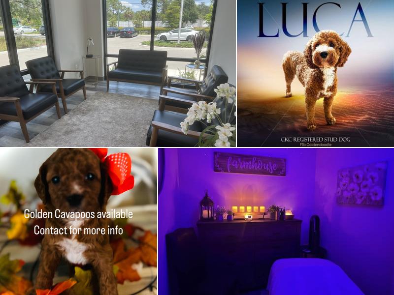 Affordable Massages by Christianna