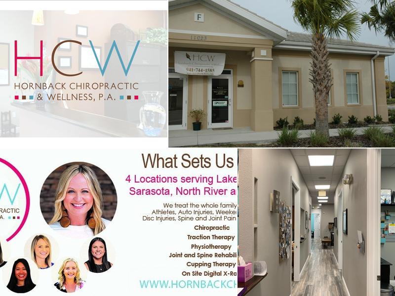 Hornback Chiropractic and Wellness, P.A.