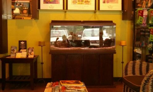 The Rub Club Massage Therapy