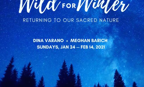 Dina Varano, MA, LMHC