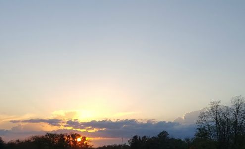 Avalon Healing and Affordable Wellness