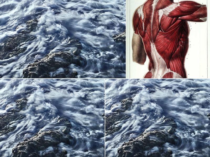 Body Mechanics Massage Therapy Clinic