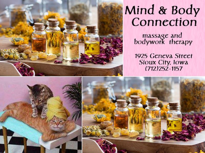 Mind & Body Connection