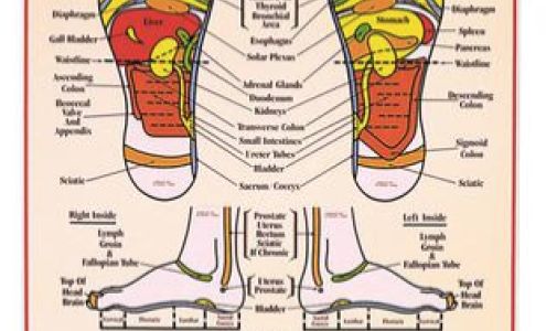 The Center for Holistic Wellness