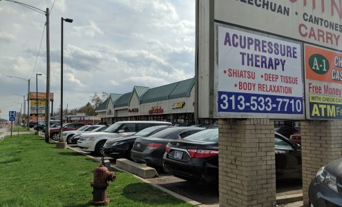 Acu Pressure Therapy