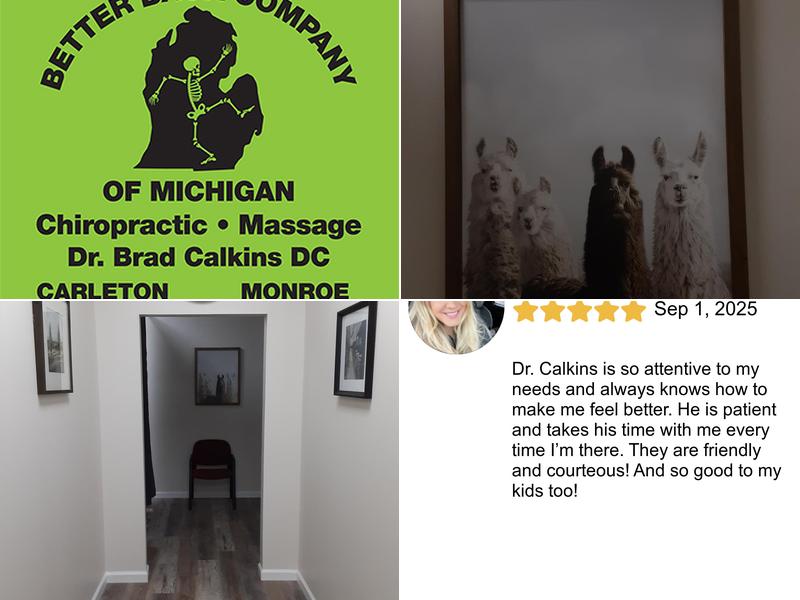 Better Back Company of Michigan Carleton Office.