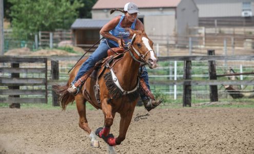Midwest Professional Equine Massage Therapy & Training New Bloomfield