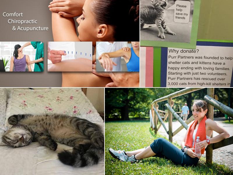 Comfort Chiropractic & Acupuncture