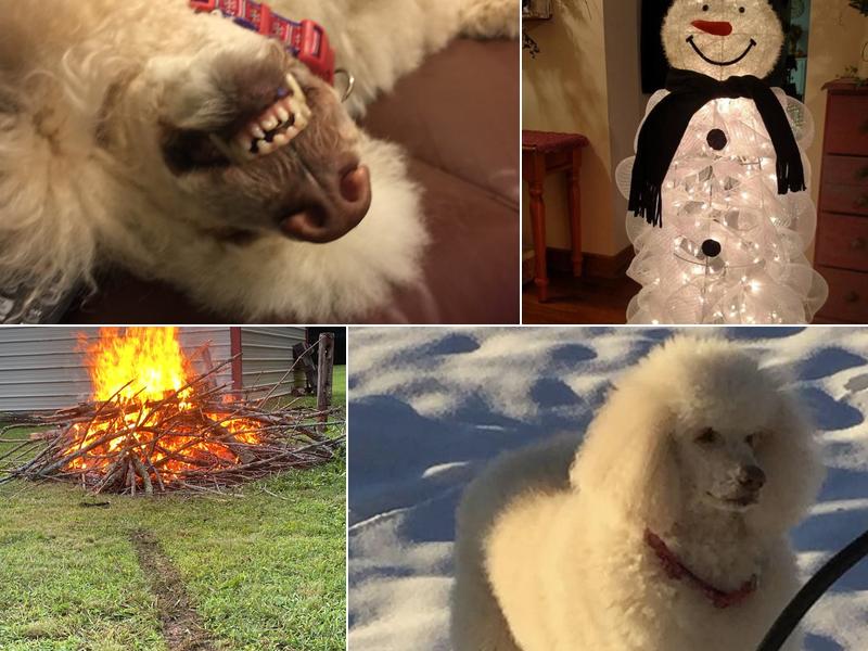 Cindy Riley Massage Therapy