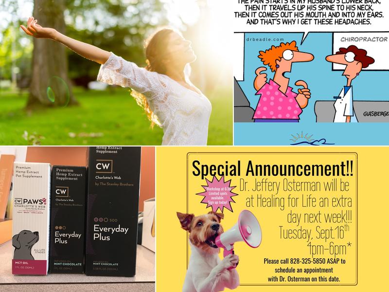 Healing for Life Chiropractic and Acupuncture