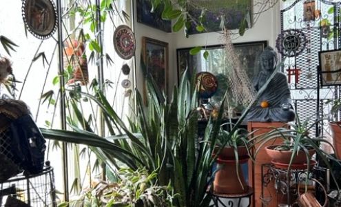 Veronica Hunter Massage