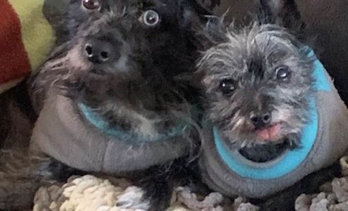 Advanced Bodylogic 3920 B St, Lincoln Nebraska 68510