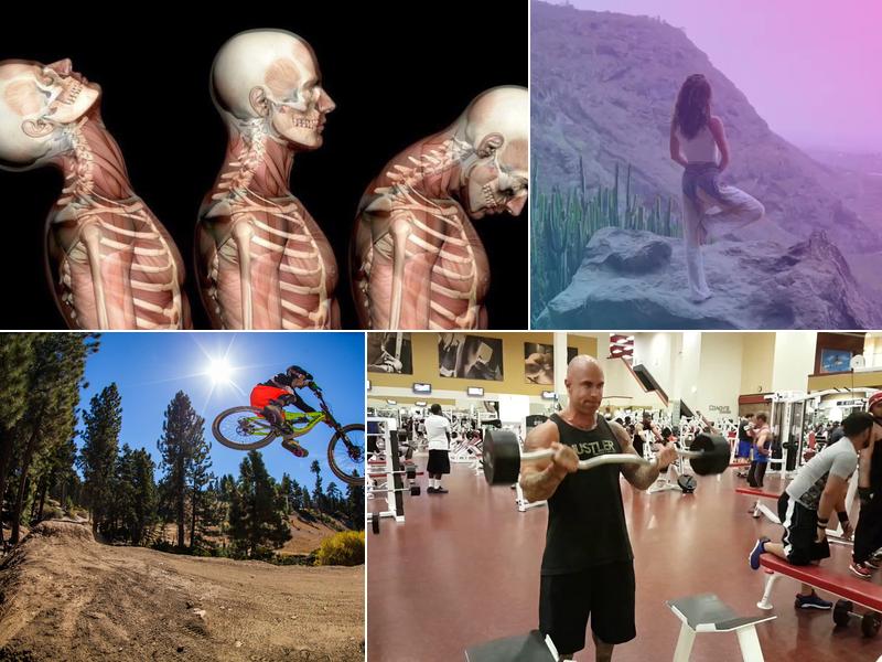 Proactive Health Therapeutic Services