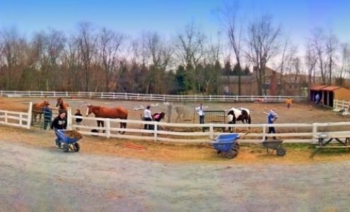 Capital Area Therapeutic Riding Association (CATRA) 168 Station Rd, Grantville Pennsylvania 17028