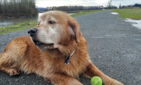 U-Haul Neighborhood Dealer