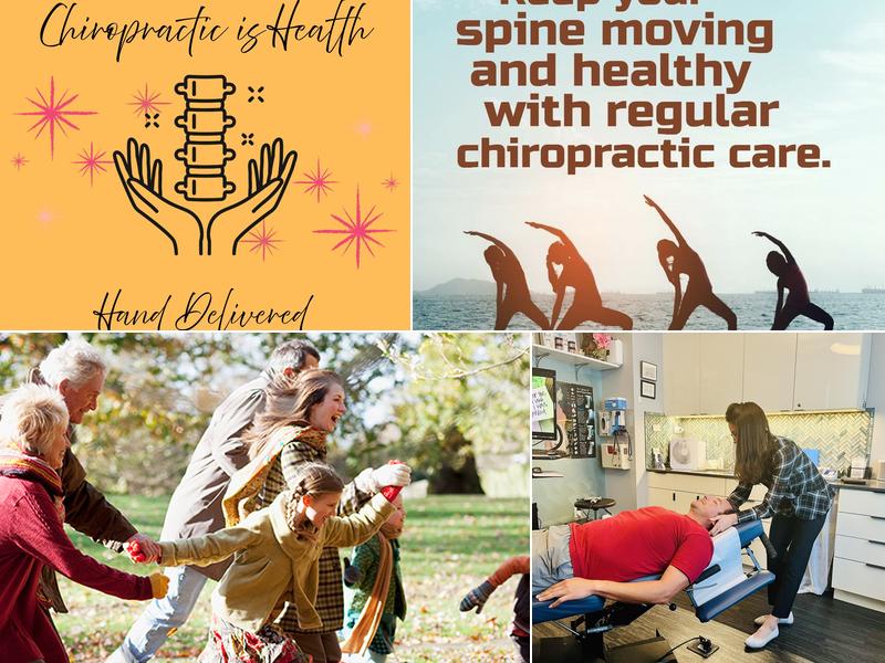 Whole Family Chiropractors