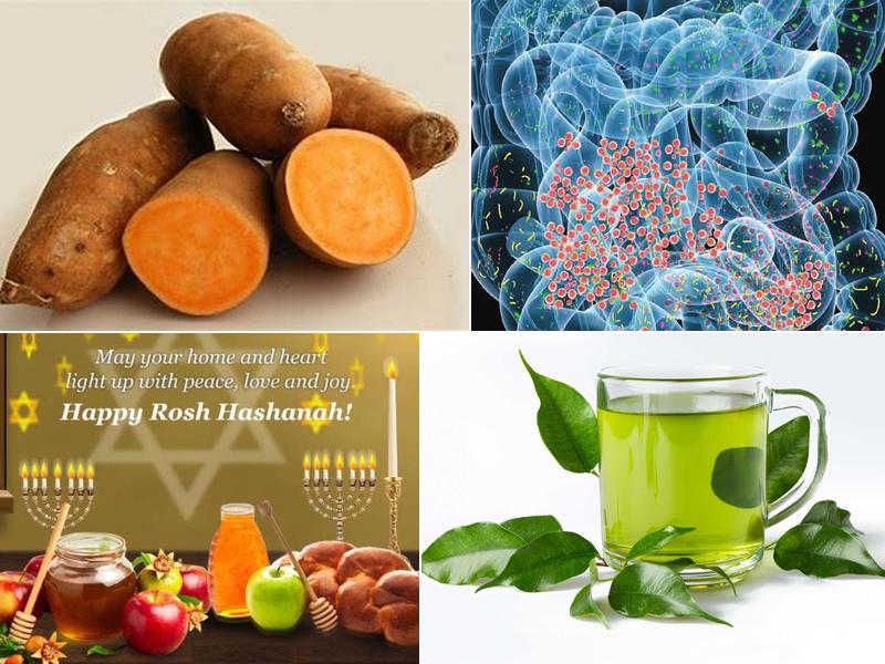 Houston Reflexology Group