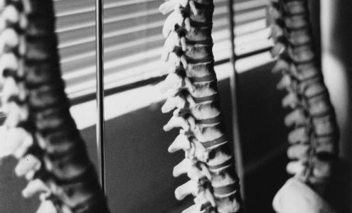 Sylvan Chiropractic Clinic and Wellness Center, LLC