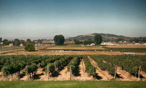 Best Western Plus Grapevine Inn