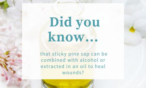 The Clover Clinic, LLC