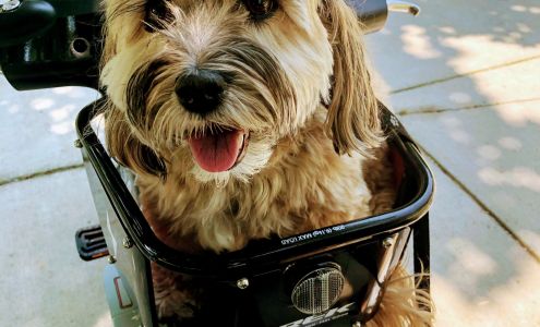 Therapeutic Partnerships LLC