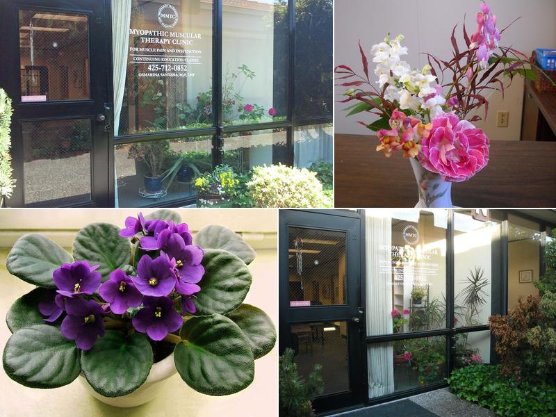 Myopathic Muscular Therapy Clinic