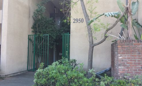 Chiropractic Wellness Group